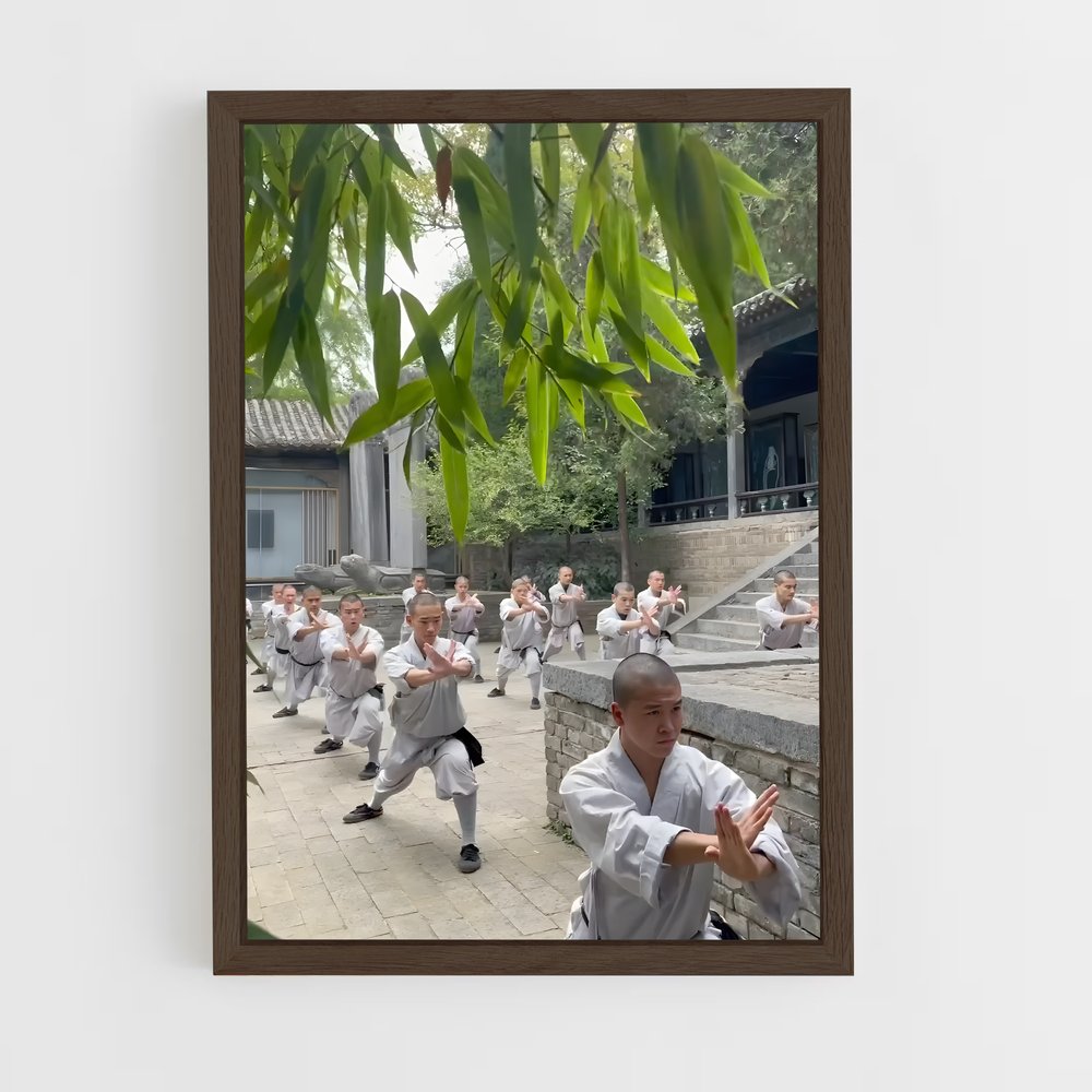 Poster Maîtres du Kung-Fu – affiche Kung Fu (vue 5)